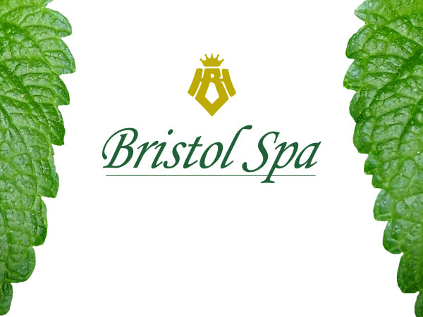 Bristol Spa Marina Miracle