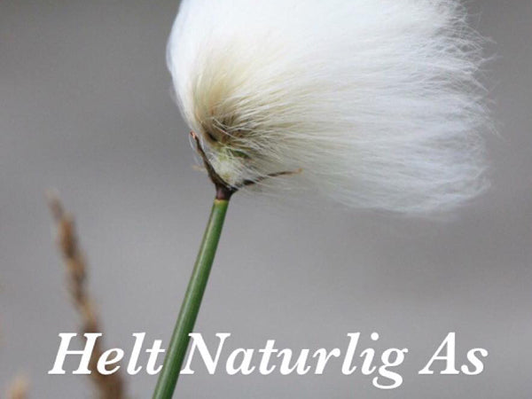 Helt Naturlig As