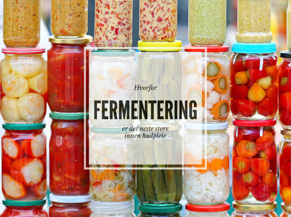 Hvorfor fermentering